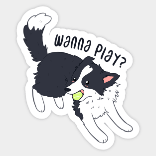 Cute border collie playing with a tennis ball Sticker